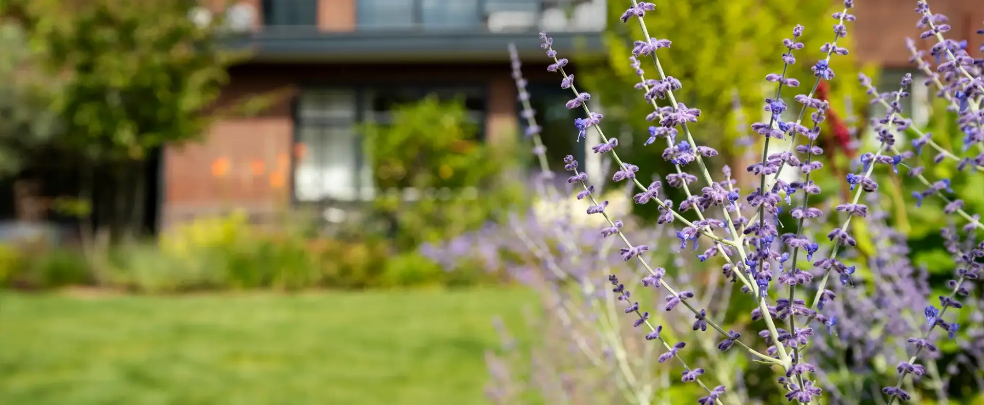 Header bloemen C M Groep